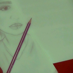 Farida Farida, 22.04