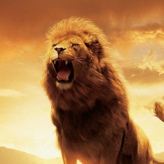 Турал Гусейнов, 11.08.1984, Гянджа