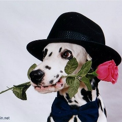 Наталья Терехова, 03.05, Красноярск