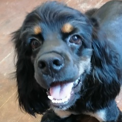 Alexandra Plekhanova, 03.10, Севастополь