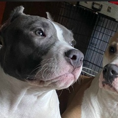 Stason Ким, 07.05