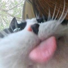 Александр Федоров