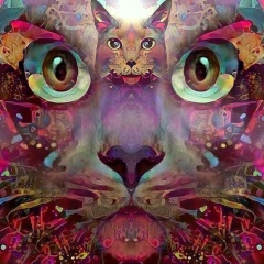 Ольга Шевченко, 05.08