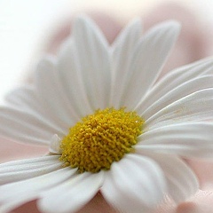 Наталья Моисеева, 18.10, Ессентуки