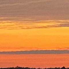 Лёша Лобашов, 22.06.2005