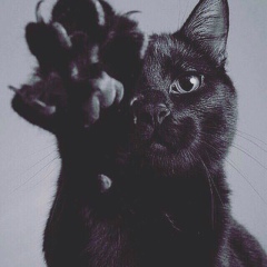 Ekaterina Bashkatova, Москва