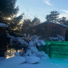 Любовь Пименова, Санкт-Петербург