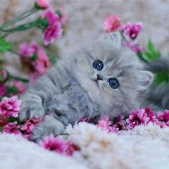 Светлана Лукьянова, 04.04, Усть-Абакан