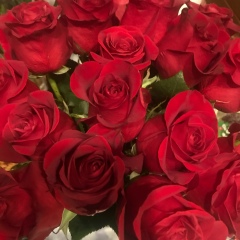 Мария Жукова, 04.09.1986, Санкт-Петербург