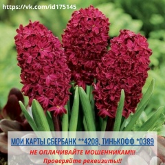 Екатерина Кузьмина, 29.11, Уфа