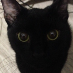 Валерий Меньков, 25.12.1987, Калининград