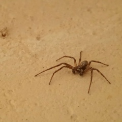 Роман Уварцев