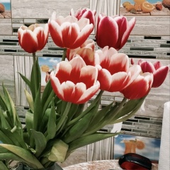 Айгуль Умбиталиева