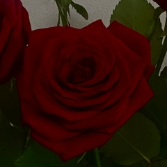 Елена Понякина Сырых, 19.02, Орёл