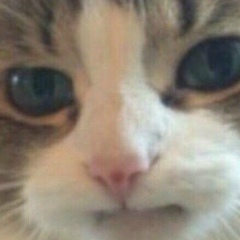 Адильбек Каршигаев, 02.11.1994, Астана