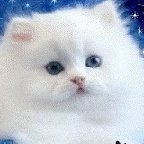 Алина Гарейс, 01.08