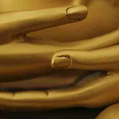 Яна Кохана, Киев