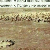 Хамзат Хамзат, 05.08.1994