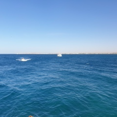 Дмитрий Храмов, 29.09.1985, Санкт-Петербург