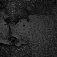 Сахиб Талыбов, 18.02.1991, Баку