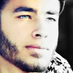 Ammar Abo-Shady