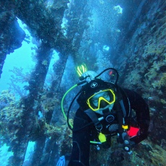 Виктор Сокол, 19.06, Воронеж