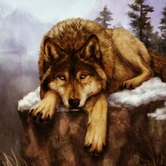 Курал Камбаров