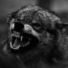 Ospan Esetov, Актау