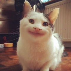 Zaw Myo Oo, 02.09.1993, Myawadi