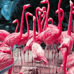 Сергей Козленко, 29.06.1987, Москва