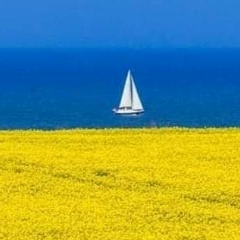 Тамара Бондаренко, 07.06.1971, Киев