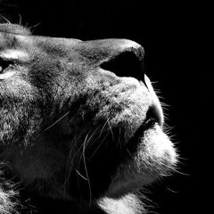 Евгений Неверов, 05.08.1987, Мытищи