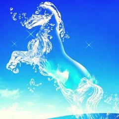 Виталий Ионизатор, Санкт-Петербург