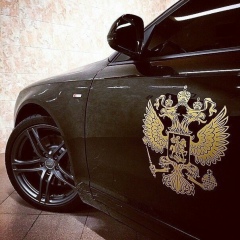 Даниил Носок, 27.02, Волгоград