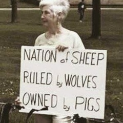 Roma Novikov, 24.03.1991