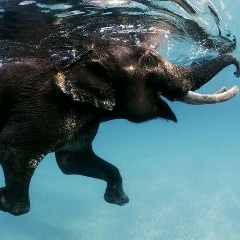 Nadya Pruiksma, 05.03.1984, Санкт-Петербург