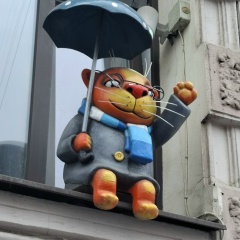 Ирина Матушкина, Воронеж