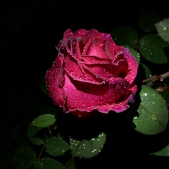 Хадижат Абдулатипова, 22.12.1988, Хасавюрт