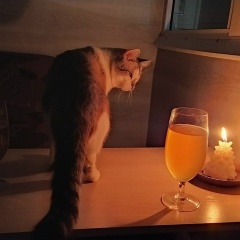 Сергей Чеблоков, 31.03.1982, Красноярск