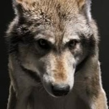 Илья Леончик, 18.03.1981, Молодечно