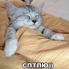 Вадим Рощин, 28.02.1986, Мытищи