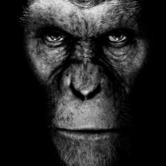 Сергей Салямов, 29.06