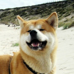 Airat Sotnikov, 03.10.1990