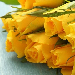 Кристина Маркова, 01.02, Киев