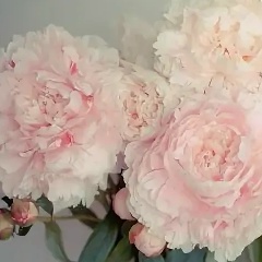 Дарья Кубрак, 28.04, Санкт-Петербург