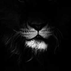 Рустем Гиззатуллин, 05.02, Набережные Челны