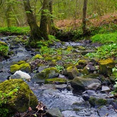 Олег Теплищев