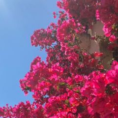 Dasha Sosunova, 14.11.1983, Karlsruhe