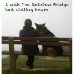 Елена Лаврова, 01.02, Москва