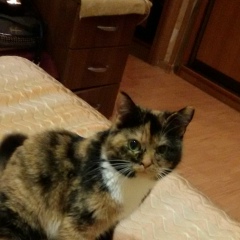 Лена Ленуся, 01.08.1979